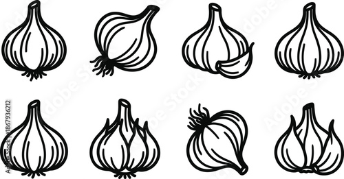 Eight black and white drawn style garlic bulbs on white background in two rows  various perspectives