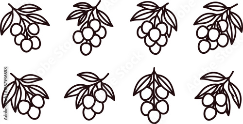Illustration of multiple bunches of berries with leaves in brown color on white background for design and decoration purposes  simple line art