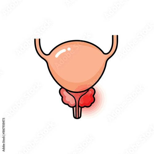 Male prostate gland icon highlighting inflammation for urology health