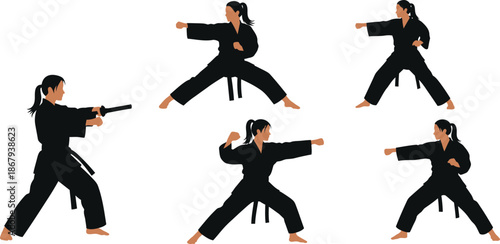 Karate poses sequence illustration with a black silhouette on transparent background