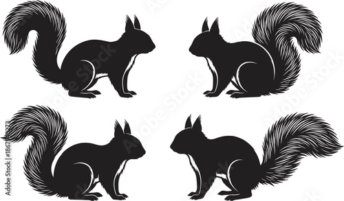 Squirrel silhouette set in different poses, detailed furry tail woodland animal illustration, wildlife nature design isolated on white background