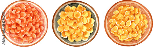 watercolor illustration of three plates with pasta, top view, white background, clip art for stickers