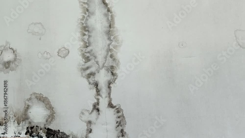 The roof of the house was damaged by water seepage and black mold growth. The numerous water stains indicate that the leaks occurred repeatedly over a long period of time