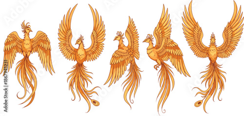 Set of golden phoenix bird illustrations featuring mythical fire birds in various flying poses isolated on white background for fantasy design