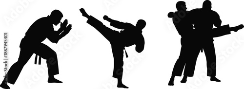 Set of martial arts silhouettes showing karate and judo fighters in combat poses isolated on white background for sports design