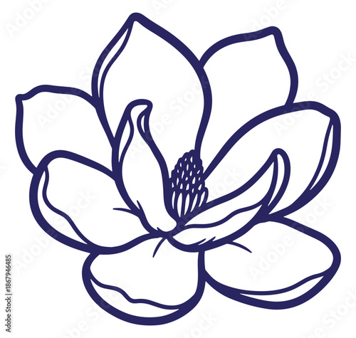 Elegant dark blue outlined magnolia flower isolated on white background botanical design