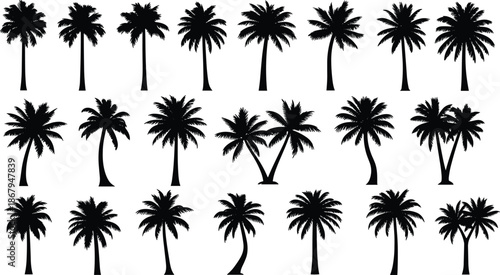 Large Collection of Tropical Palm Tree Silhouettes Featuring Various Exotic Species and Different Branch Shapes Isolated on White Background for Summer Design