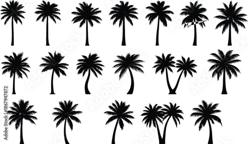 Large Collection of Tropical Palm Tree Silhouettes Featuring Various Exotic Species and Different Branch Shapes Isolated on White Background for Summer Design