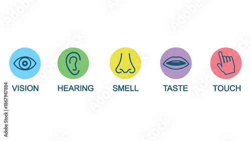 Human senses icons for education and health