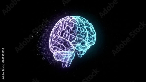 Glowing brain anatomy depicted against a dark background