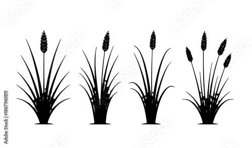 Minimal Carex grass silhouette vector set isolated on transparent background