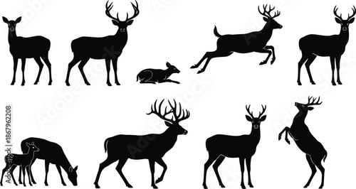 Deer silhouette collection showing stag, doe, and fawn in standing, running, and grazing poses, black and white wildlife illustration set