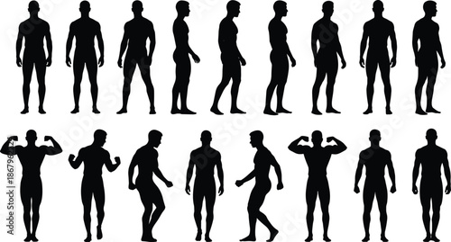 Male body silhouettes collection showing standing, walking, and bodybuilding poses, black and white illustration set for fitness, anatomy, sport, and design