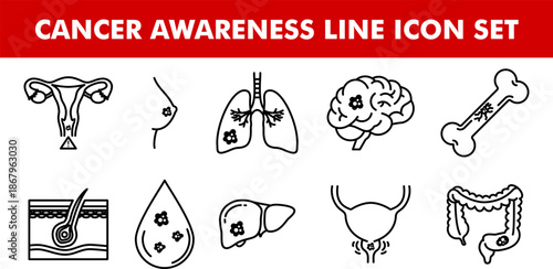 Cancer Awareness Line Icon Set, Collection of Human Organs with Tumor Symbols including Lung, Breast, Brain, and Colon Cancer Vector