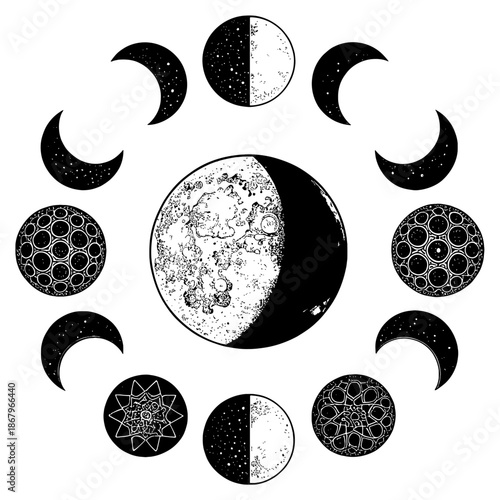 A vector graphic illustration of the lunar cycle phases in black and white