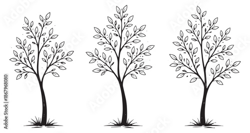 Hand drawn line art tree set featuring simple leafy trees for nature and eco-friendly design