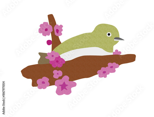 cute mejiro japaness bird spring season