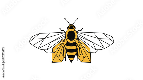 Illustration of a bee with detailed wings and yellow black body