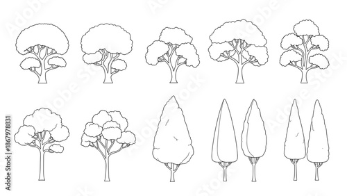 A detailed outline collection showcasing a variety of deciduous and coniferous trees with distinct shapes and foliage, drawn in a clean line art style.