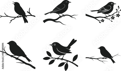 Bird Silhouette Collection on Branches – Nature Wildlife Vector Set