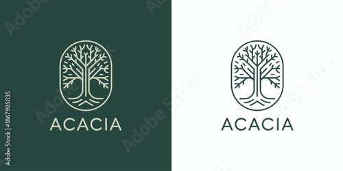 Two Acacia with Tree Symbols on Green and White Backgrounds