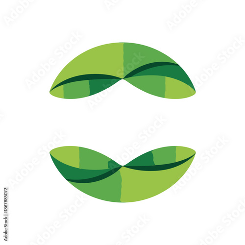 Two green leaves with dark veins and light green sections forming a dynamic symmetrical pattern