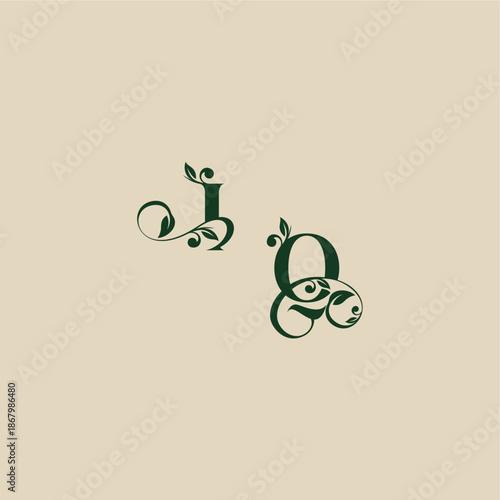 with monogram and leaf concept of elegant beautifull QI wedding organic logo letter