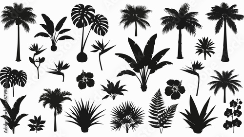 Collection of Tropical Plant Silhouettes Palm Trees and Flowers.