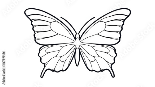 Elegant Butterfly Line Art Illustration Isolated on White Background