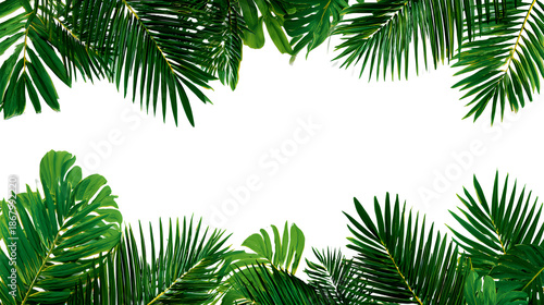 Tropical green palm leaves border frame on transparent background for copy space,  ai generated image.