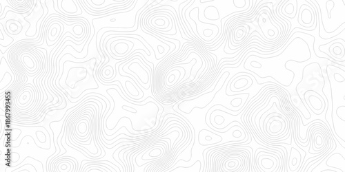 Geometric diagram white and gray spiral line elevate map. minimal paper surface location topology art outline mapping design.