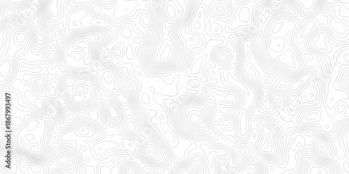 Geometric diagram white and gray spiral line elevate map. minimal paper surface location topology art outline mapping design.