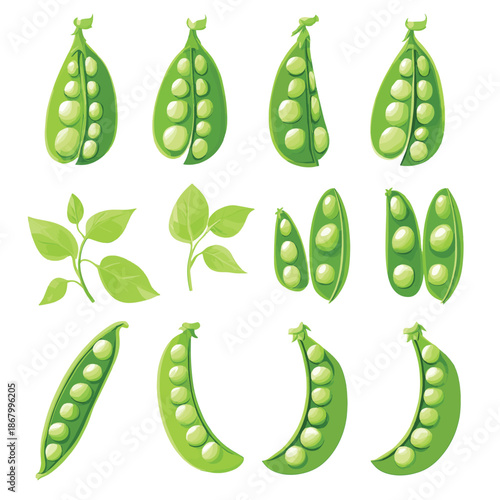 Fresh green peas in pods a vibrant vegetable illustration set , vector style simple color