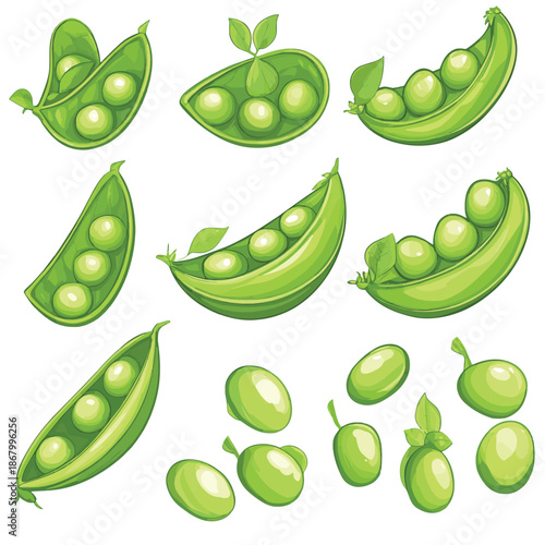 Fresh green peas in pods a vibrant vegetable illustration set , vector style simple color