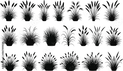 Collection of various potted plants with diverse leaf structures