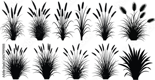 Collection of cattail plant silhouettes