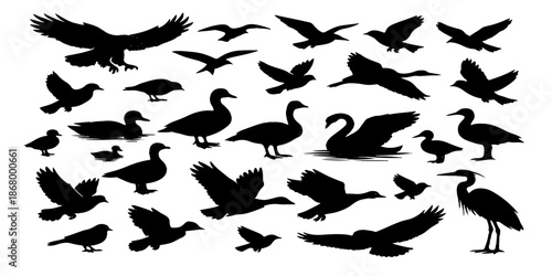 Vector illustration of a wildlife nature set featuring black silhouettes of flying birds like hawks, pigeons, and sparrows with wings spread in a collection of animal outlines
