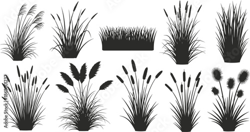 Collection of cattail and grass silhouettes for design and decoration