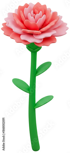 pink rose flower