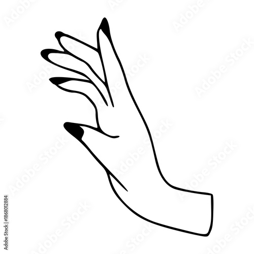 elegant hand with manicured nails outline