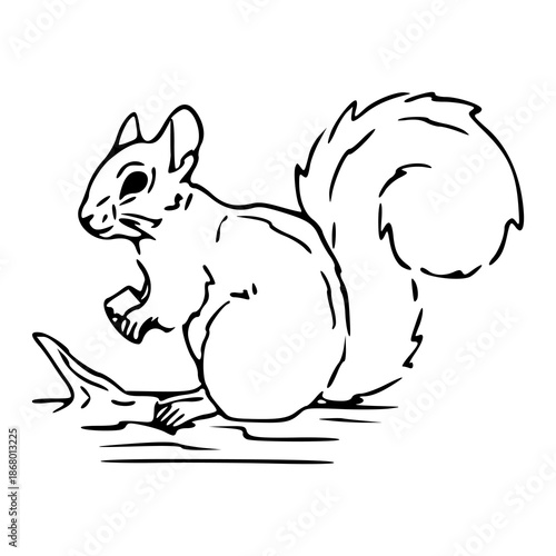 cute squirrel sitting on a branch line art