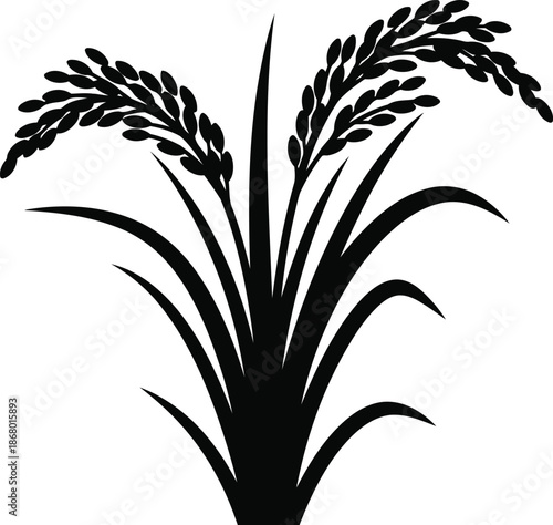 Black silhouette of rice stalks with grains plant agriculture