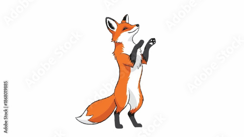 Playful and cute cartoon fox standing on its hind legs in a begging pose, illustrated in a simple and charming vector style.