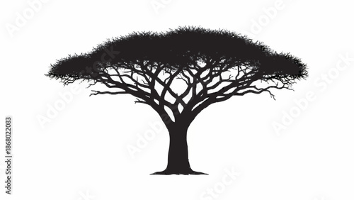 Bold black silhouette of a classic African acacia tree with a wide, flat canopy and intricate branches, isolated on a plain white background.