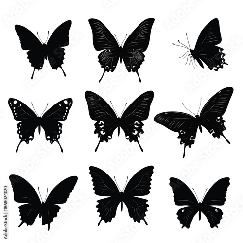 A collection of black silhouette butterflies in varying flight poses , vector style simple color