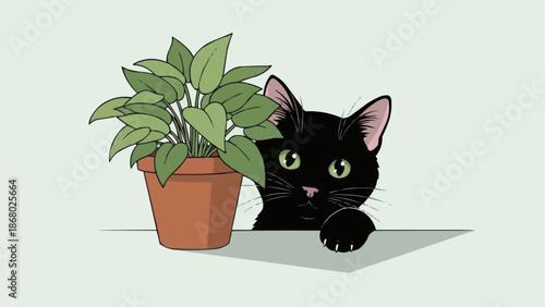 Curious black cat peeking from behind a potted plant.