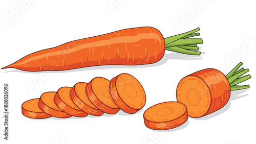 A whole carrot alongside sliced pieces, including a cross-section showing its texture, presented in a realistic illustration on a white background.