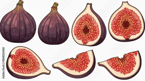 Whole and sliced figs displayed in a variety of cuts, showing the vibrant pink flesh and numerous seeds within the dark purple skin.