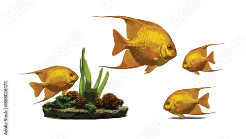 A school of four golden angelfish swimming around a decorative aquarium setup with green plants and small rocks.
