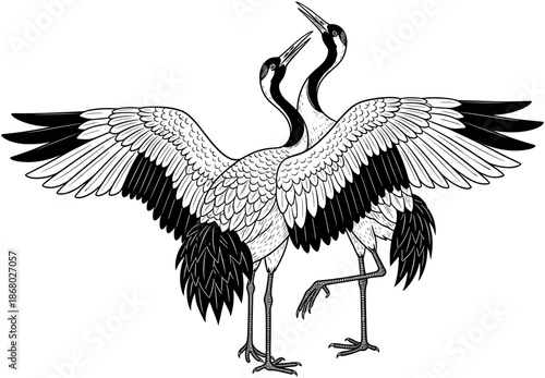 Red crowned crane pair dancing in traditional Japanese style line art, elegant bird illustration for wedding, longevity and zen nature design